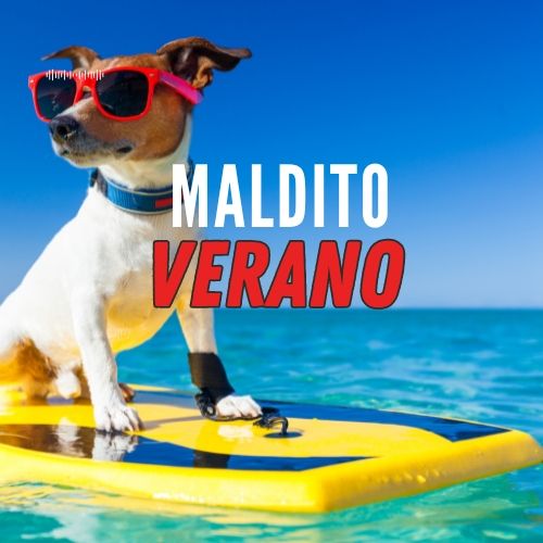 Playlist maldito verano