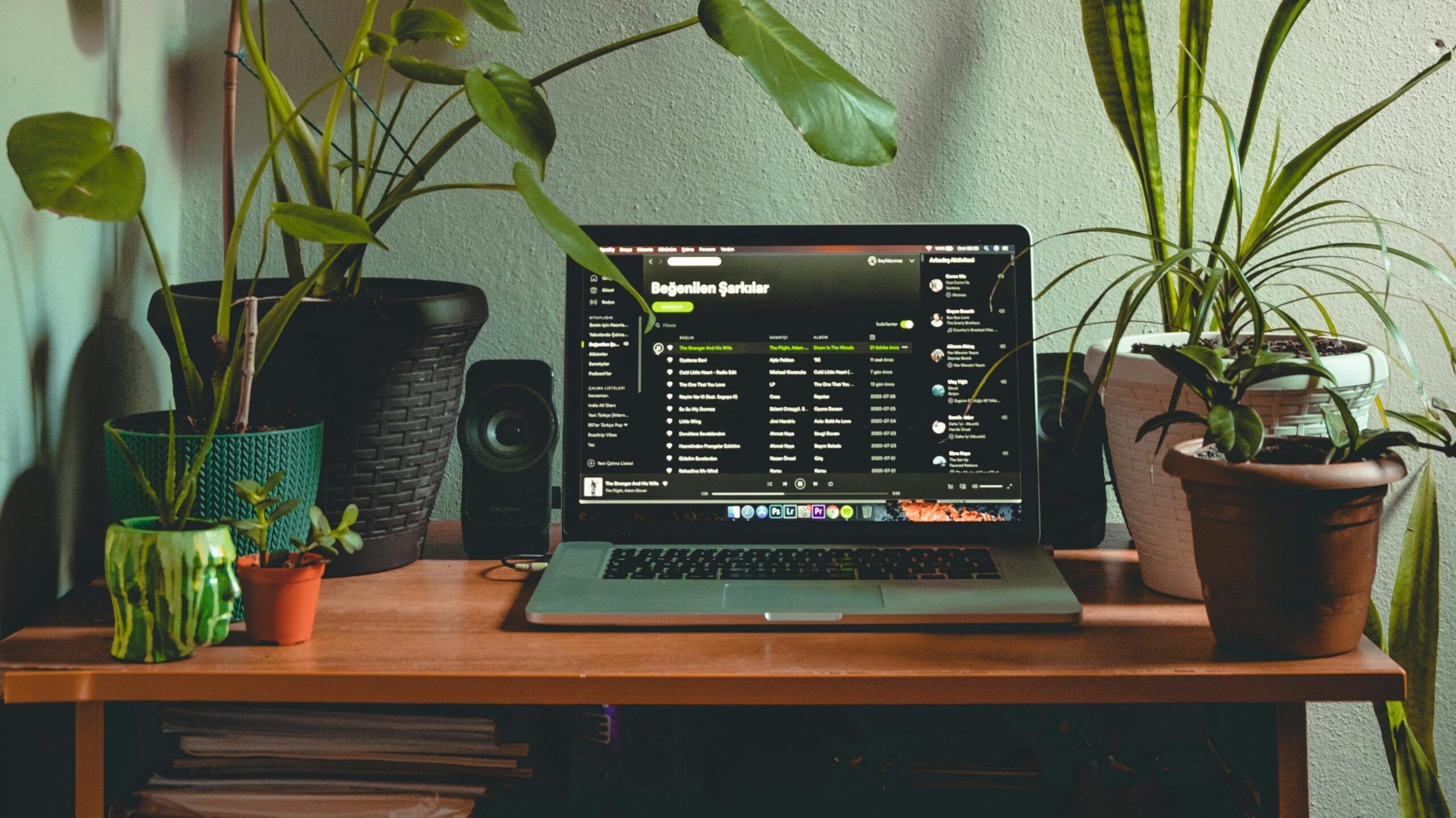 playlists spotify